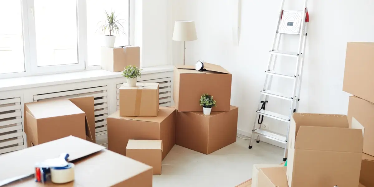 Bright room with cardboard boxes during moving day.