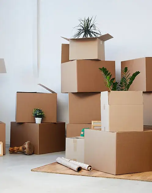Stacked moving boxes with plants in minimalistic room.